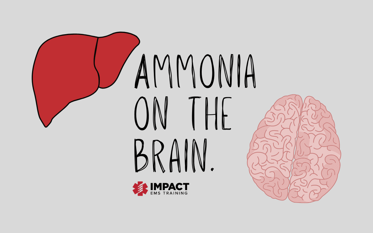 Ammonia on the Brain: Breaking Down Hepatic Encephalopathy | Impact EMS